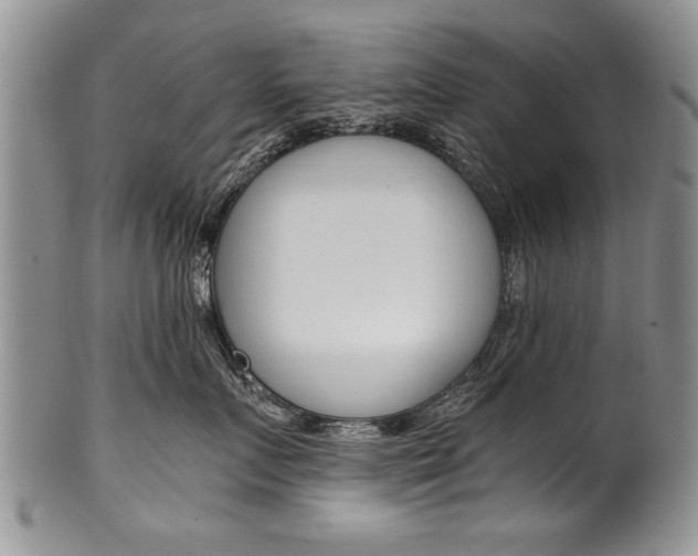 X0000101120719200806261045