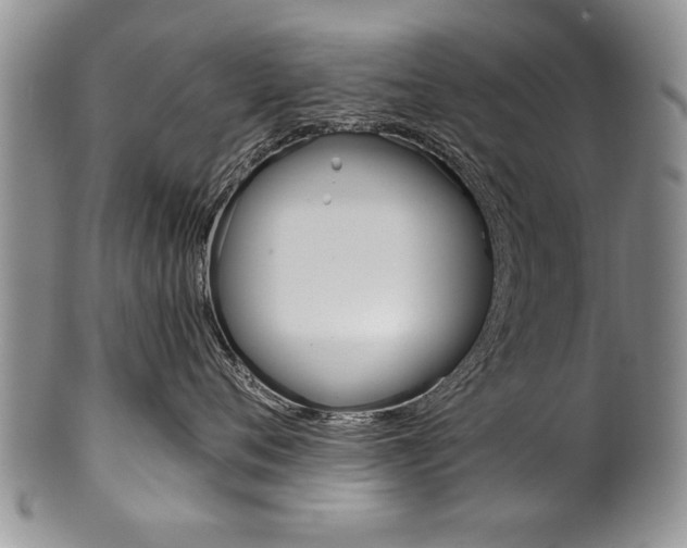 X0000101120720200806261045