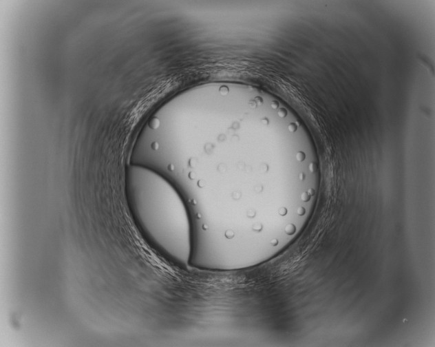 X0000101120721200806261045