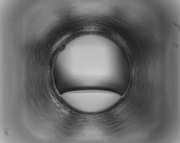 X0000101120724200806261045