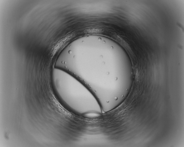 X0000101120725200806261045