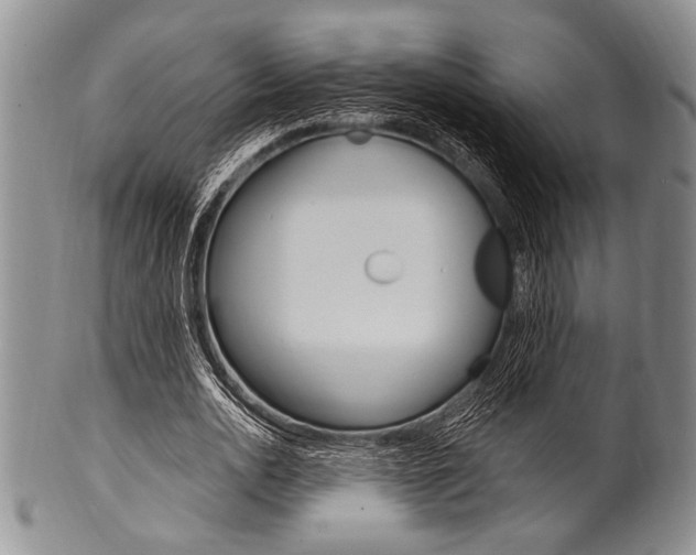 X0000101120726200806261045