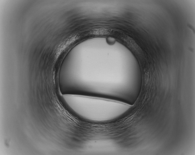X0000101120727200806261045