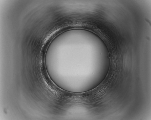 X0000101120728200806261045
