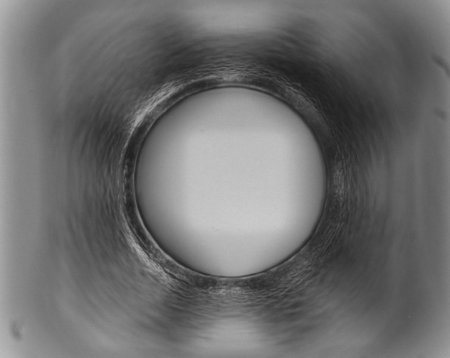 X0000101120730200806261045