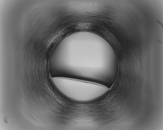 X0000101120735200806261045