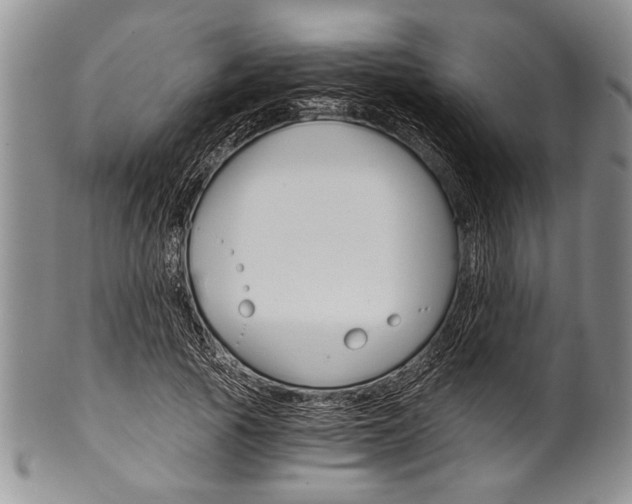 X0000101120737200806261045