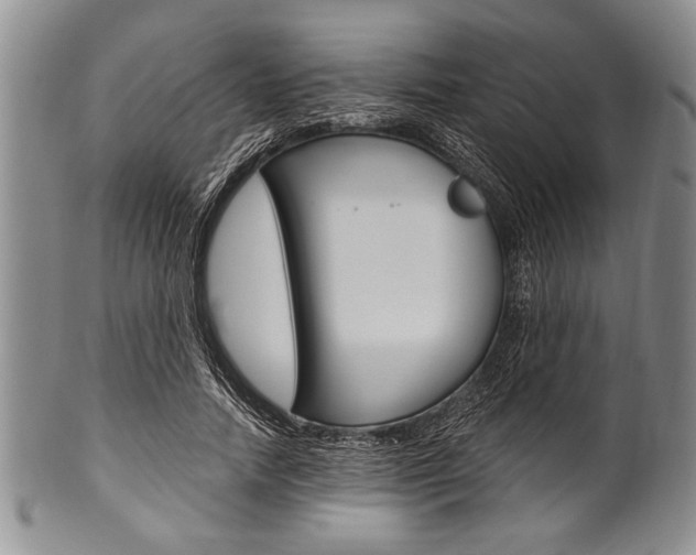 X0000101120738200806261045