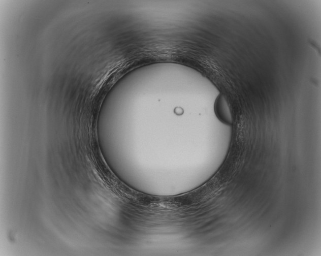 X0000101120739200806261045