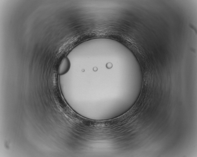 X0000101120740200806261045
