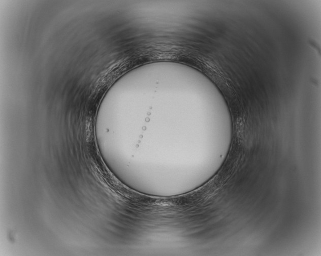 X0000101120741200806261045