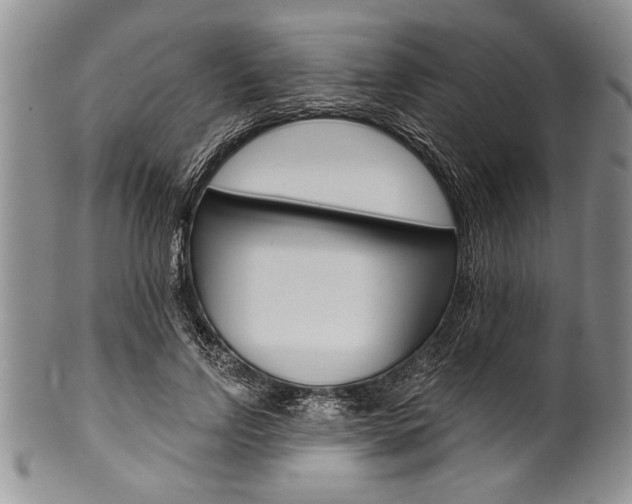 X0000101120742200806261045