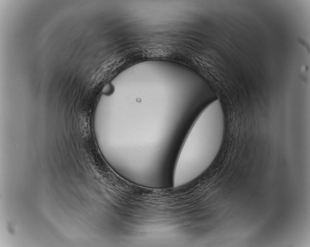 X0000101120743200806261045