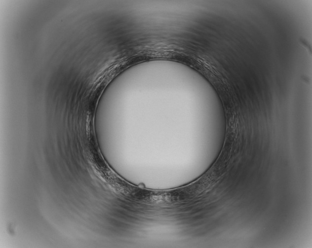 X0000101120744200806261045