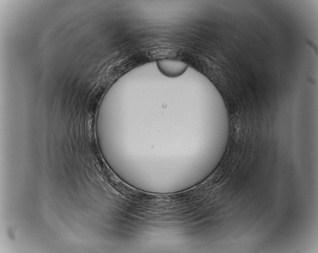 X0000101120745200806261045