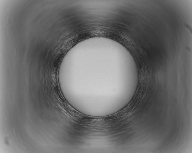 X0000101120749200806261045