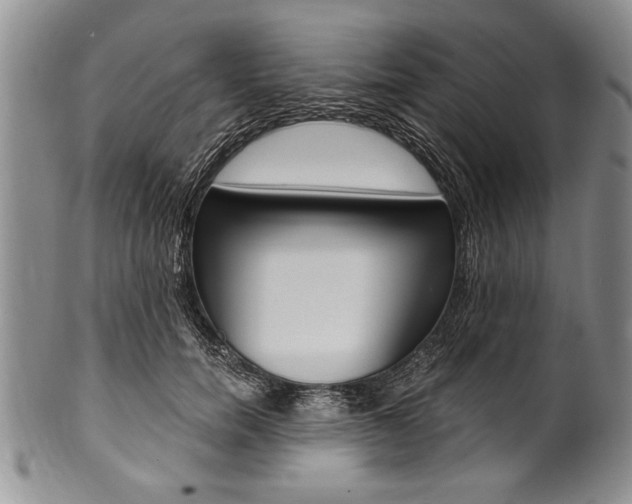 X0000101120750200806261045