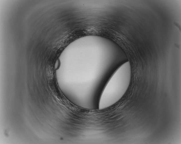 X0000101120751200806261045