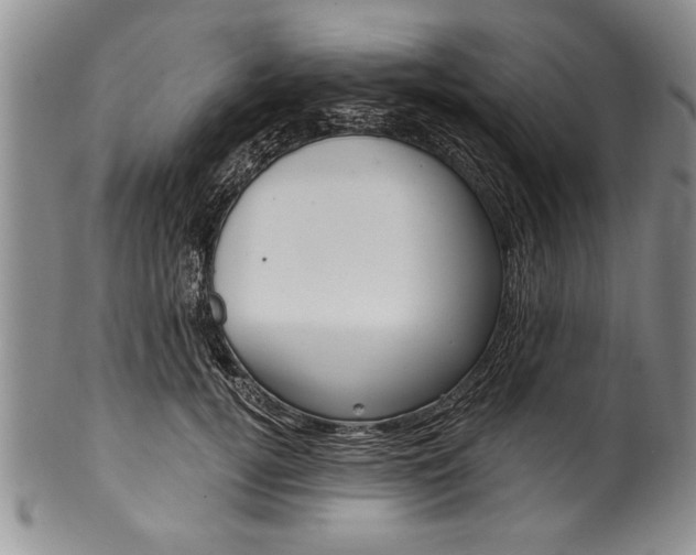 X0000101120752200806261045