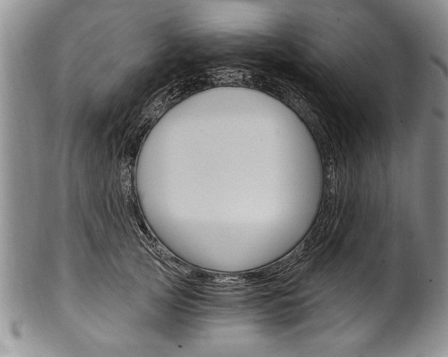 X0000101120753200806261045