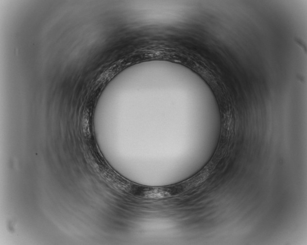 X0000101120754200806261045