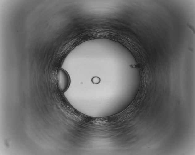 X0000101120756200806261045