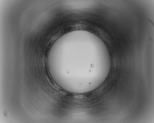 X0000101120757200806261045