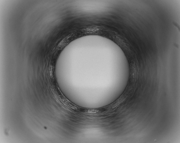 X0000101120758200806261045