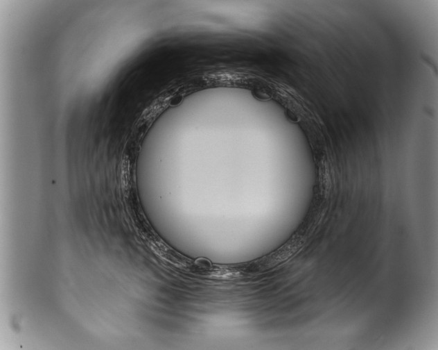 X0000101120760200806261045