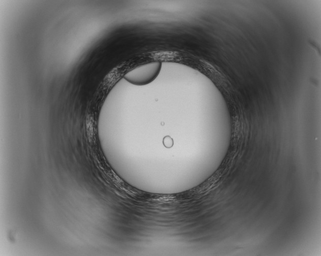 X0000101120761200806261045