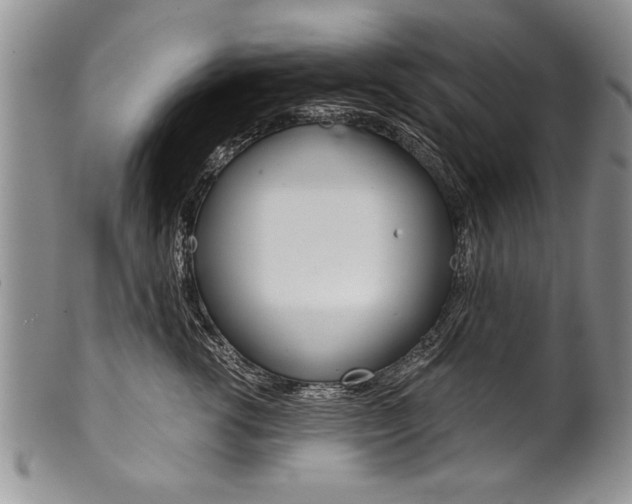 X0000101120762200806261045
