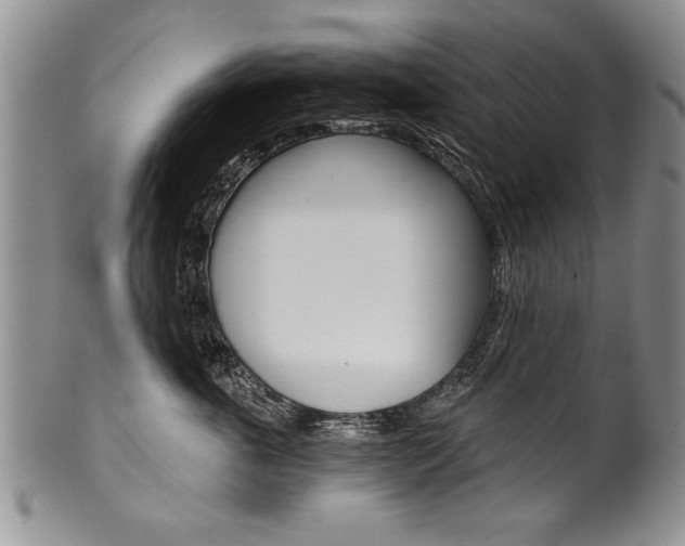 X0000101120763200806261045