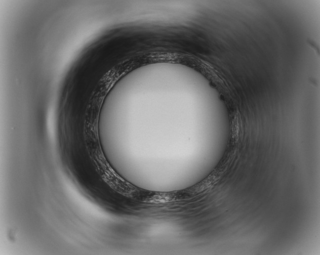 X0000101120764200806261045