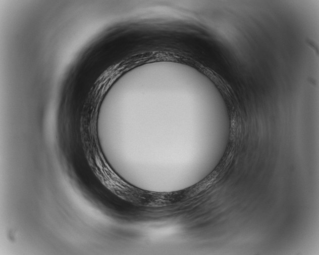 X0000101120765200806261045