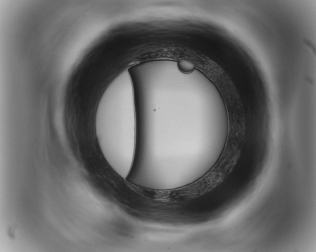 X0000101120766200806261045