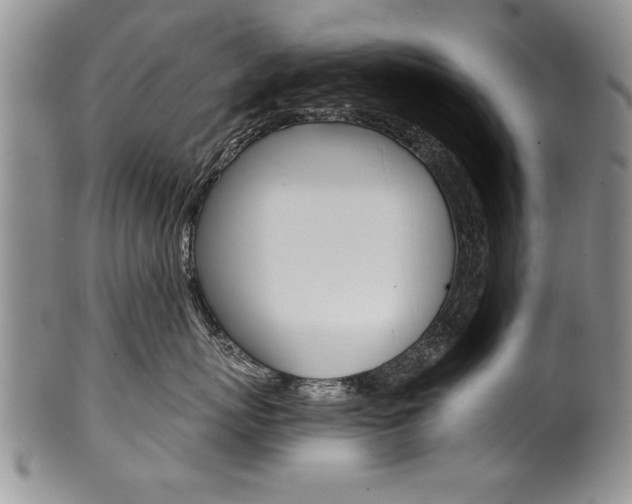 X0000101120767200806261045