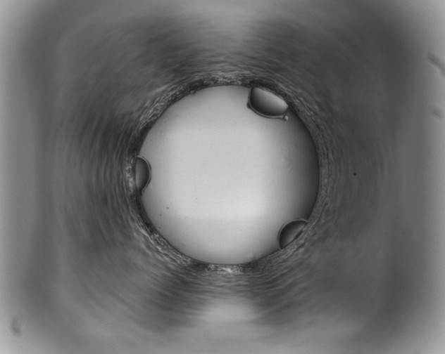 X0000101120768200806261045