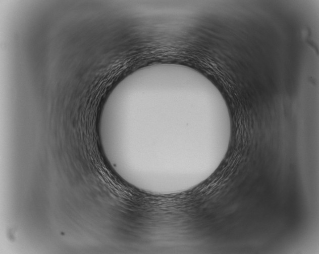 X0000101120769200806261045