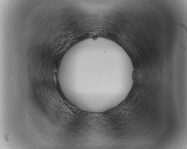 X0000101120770200806261045