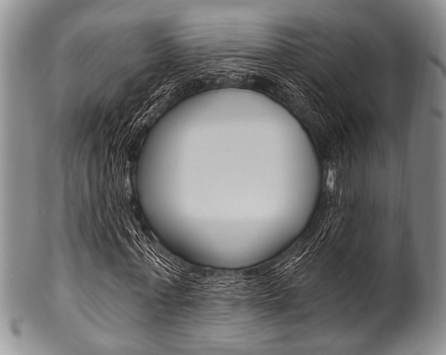 X0000101120771200806261044