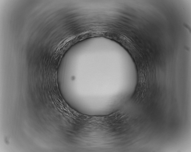 X0000101120773200806261044