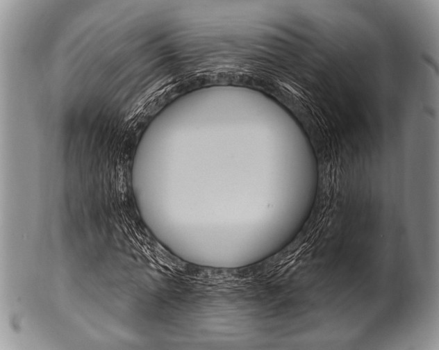 X0000101120774200806261044