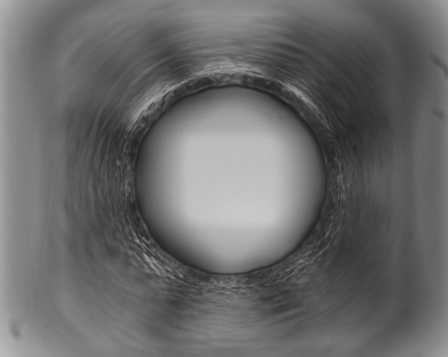 X0000101120775200806261044