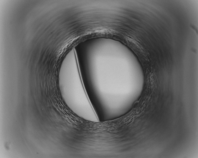 X0000101120776200806261044