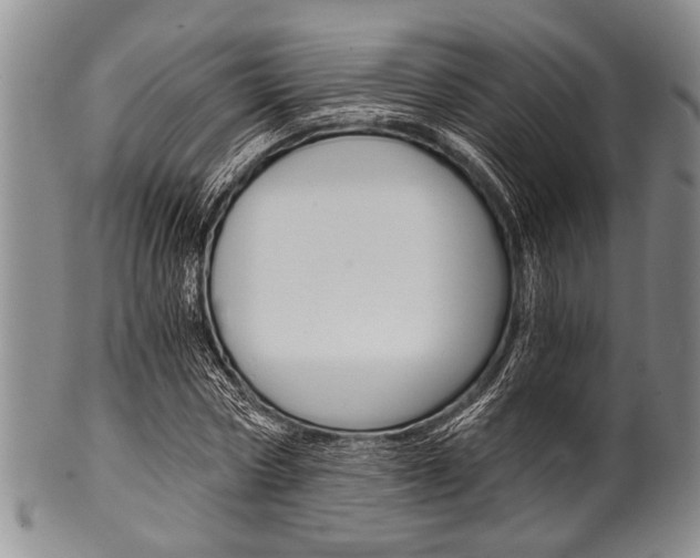 X0000101120778200806261044
