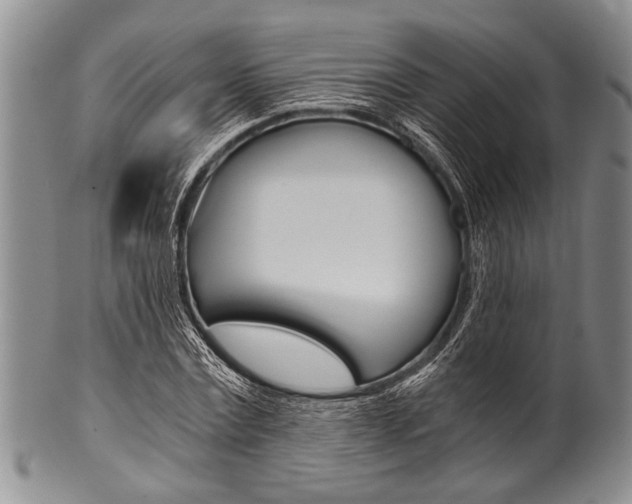 X0000101120779200806261044