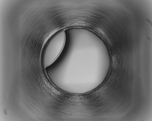 X0000101120780200806261044