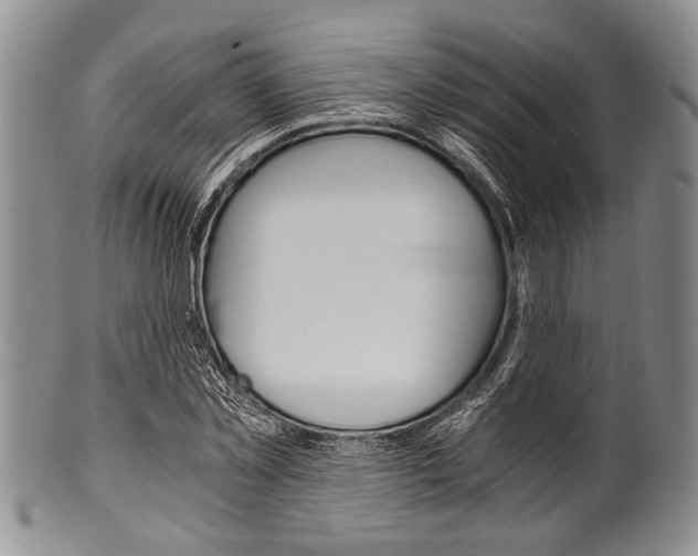 X0000101120781200806261044