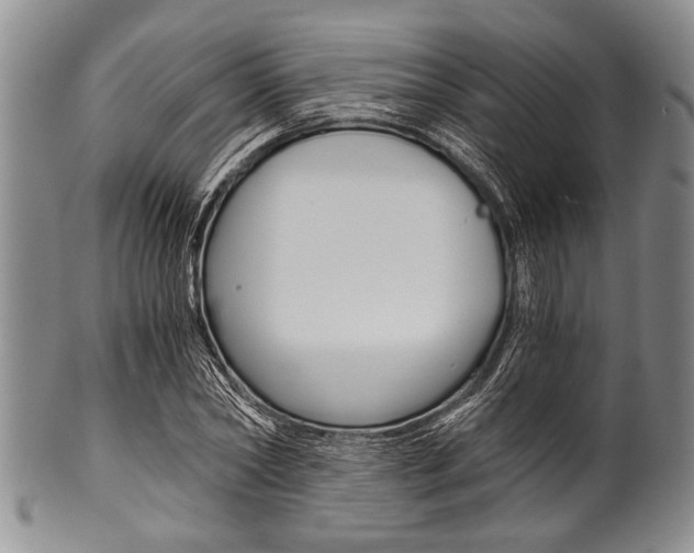 X0000101120782200806261044