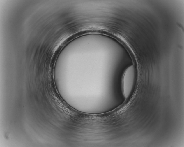 X0000101120783200806261044